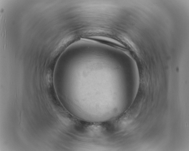 X0000089690119200706211300