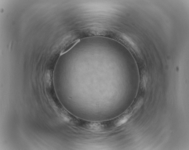 X0000089690121200706211300