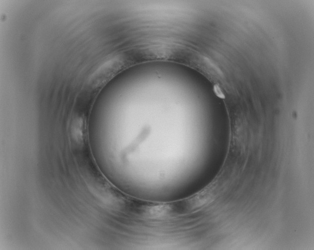 X0000089690122200706211300