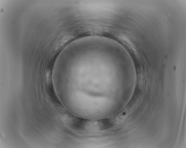 X0000089690123200706211300