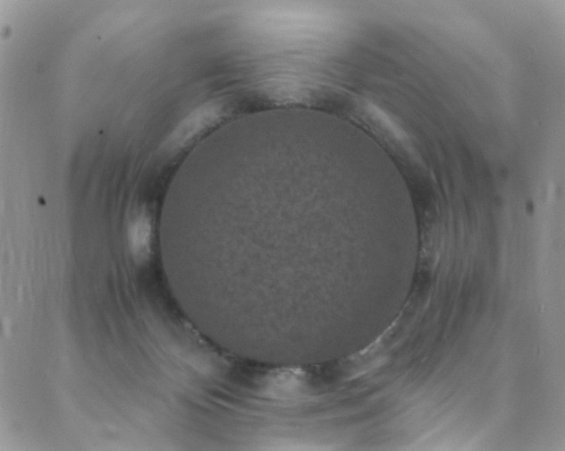 X0000089690124200706211300