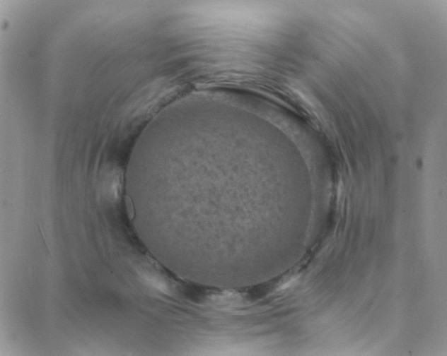 X0000089690125200706211300