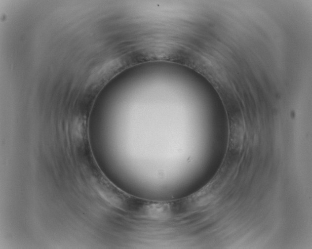 X0000089690126200706211300