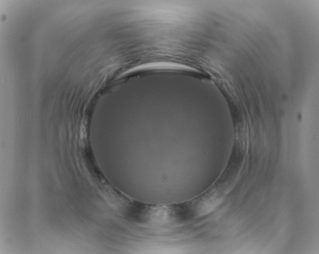 X0000089690127200706211300