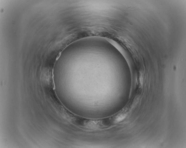 X0000089690129200706211300