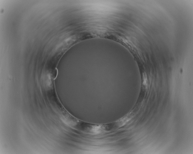 X0000089690130200706211300