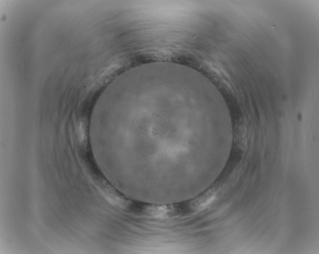 X0000089690131200706211300