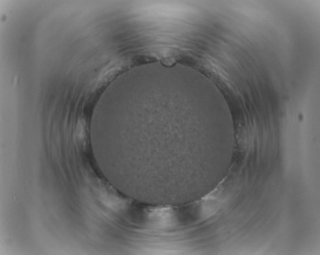 X0000089690132200706211300