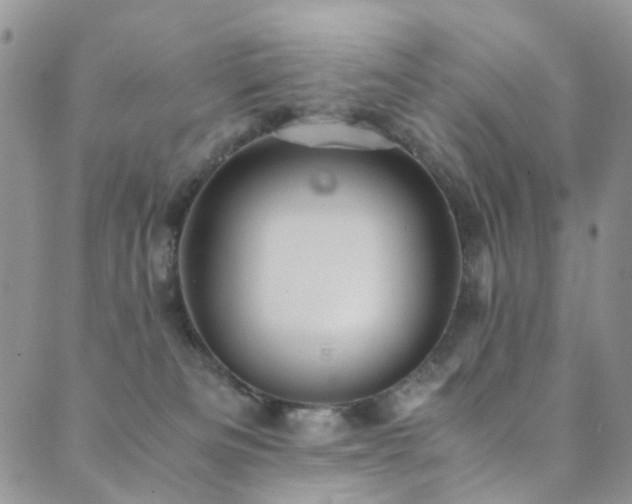 X0000089690133200706211300