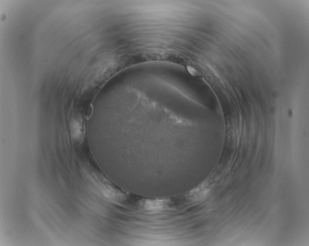 X0000089690134200706211300