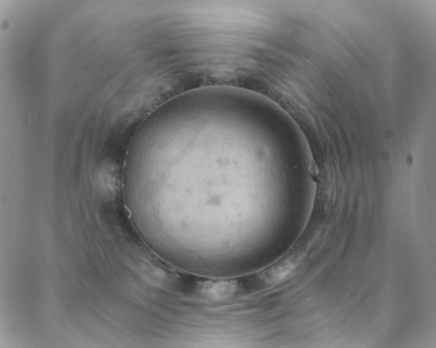 X0000089690135200706211300