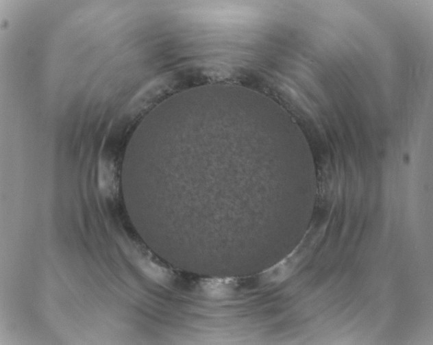 X0000089690136200706211300