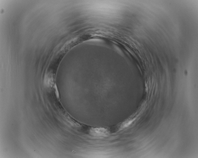 X0000089690137200706211300