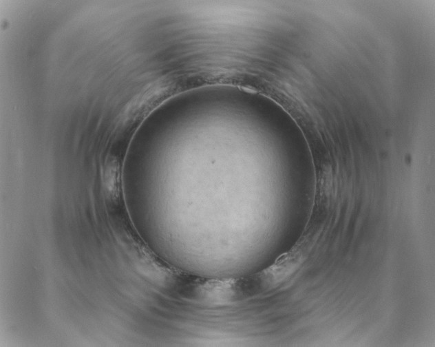 X0000089690138200706211300