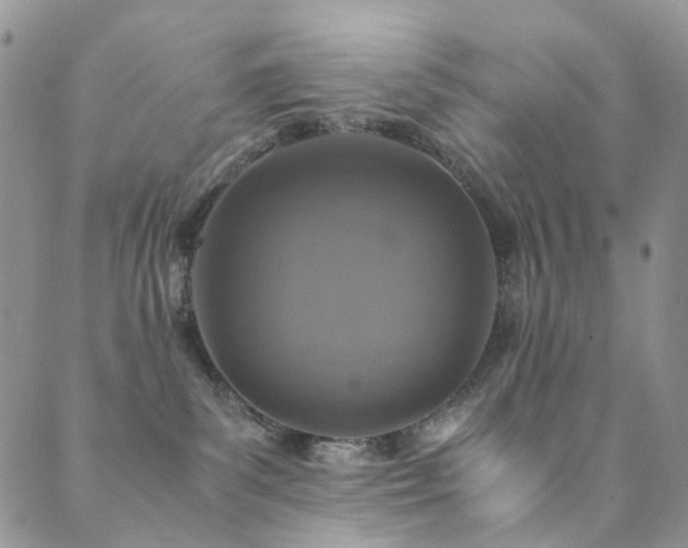 X0000089690139200706211300