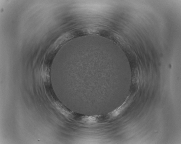 X0000089690140200706211300