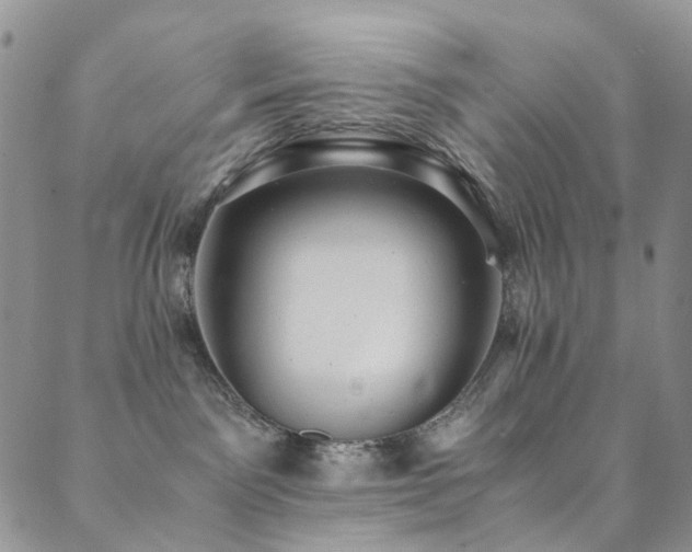 X0000089690141200706211300