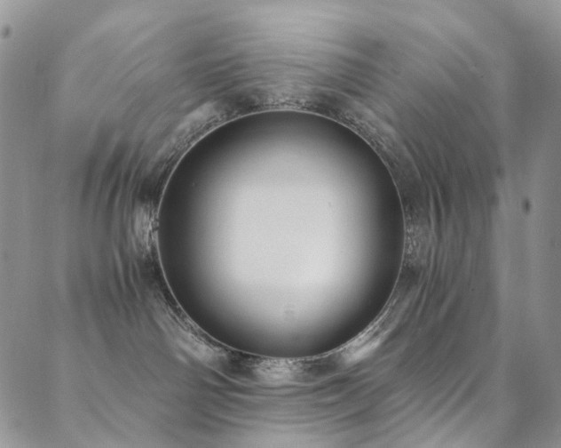 X0000089690142200706211300