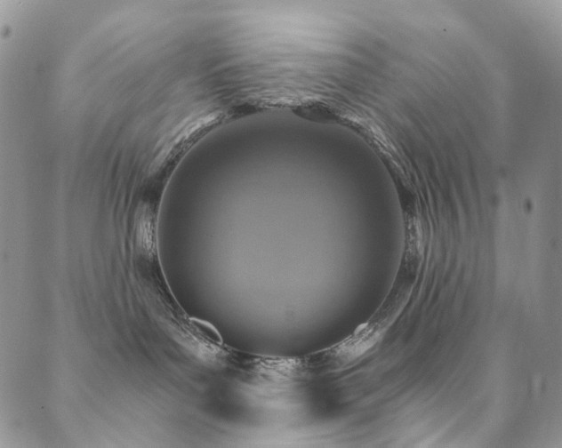 X0000089690143200706211300