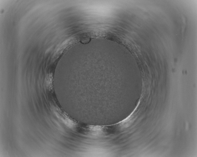 X0000089690144200706211300