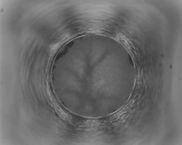 X0000089690145200706211259