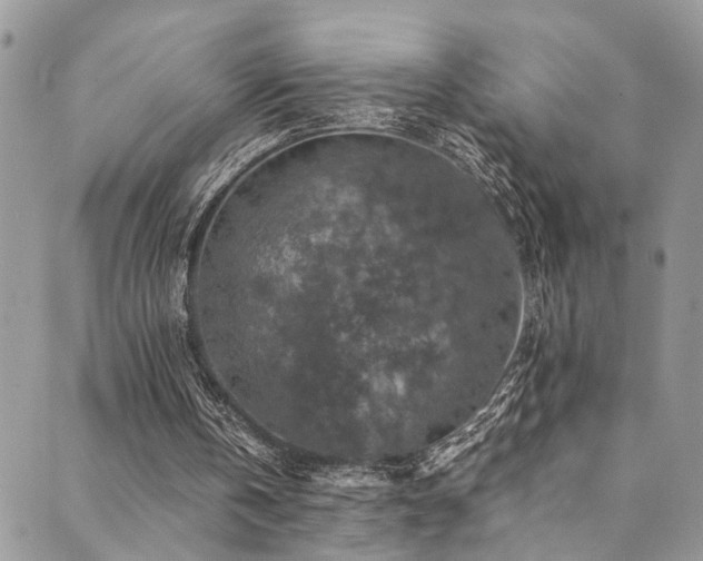 X0000089690146200706211259