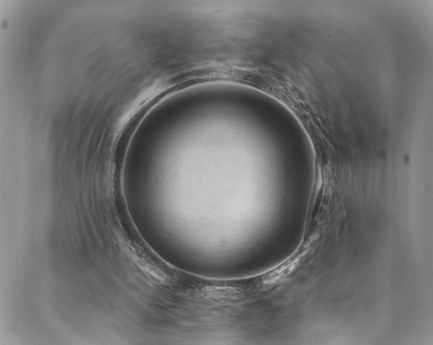 X0000089690150200706211259