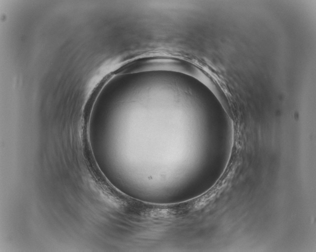 X0000089690152200706211259