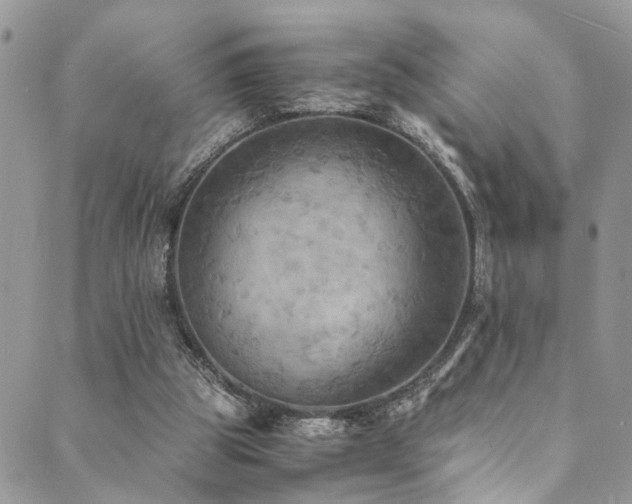 X0000089690153200706211259