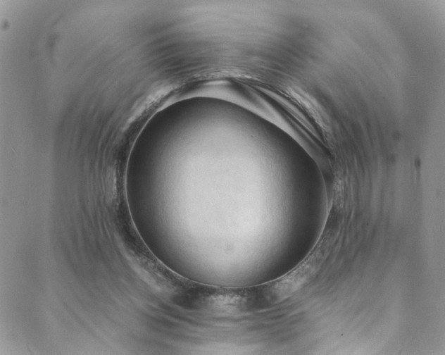 X0000089690158200706211259