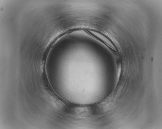 X0000089690160200706211259