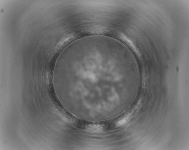 X0000089690161200706211259