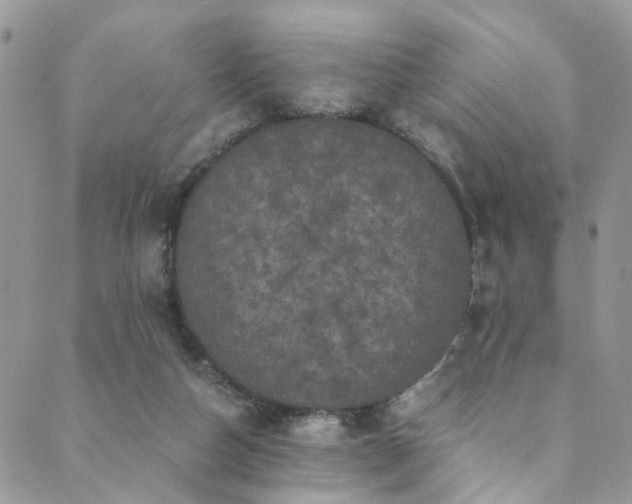 X0000089690162200706211259