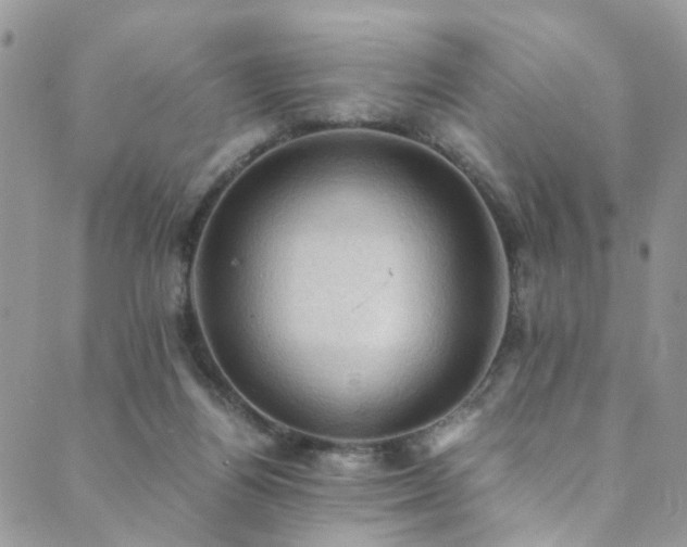 X0000089690164200706211259