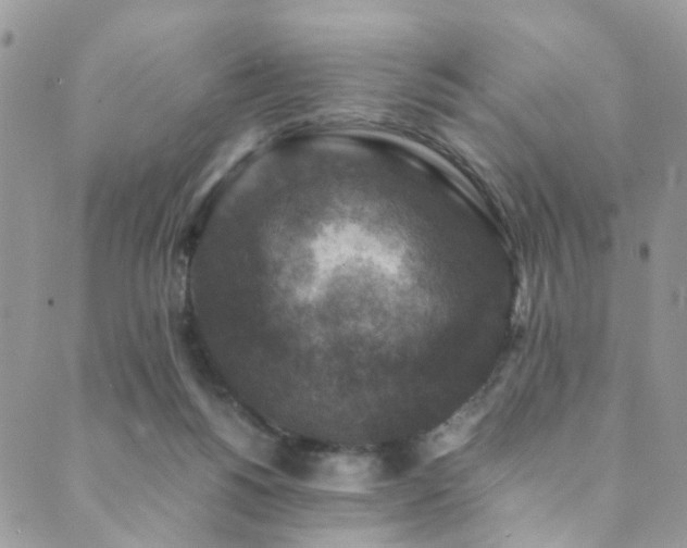 X0000089690168200706211259