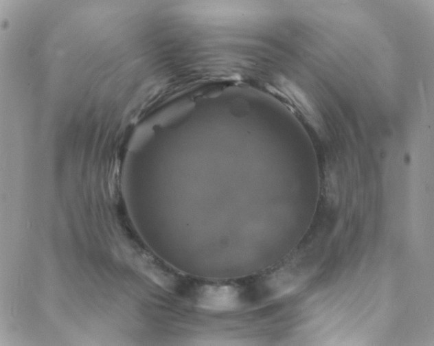 X0000089690169200706211259