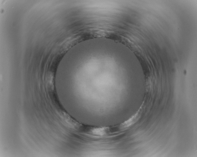 X0000089690178200706211259