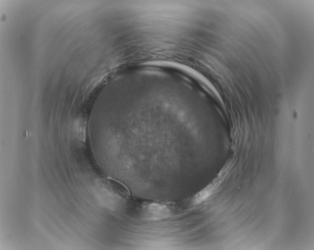 X0000089690180200706211259