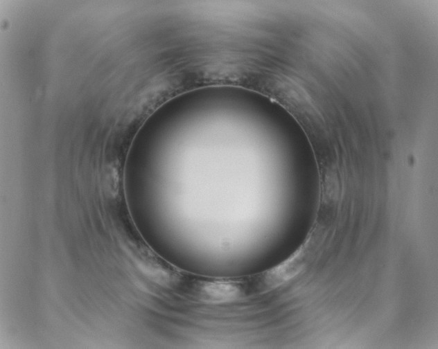 X0000089690183200706211259