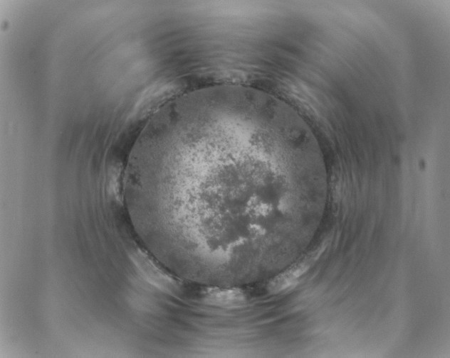 X0000089690185200706211300