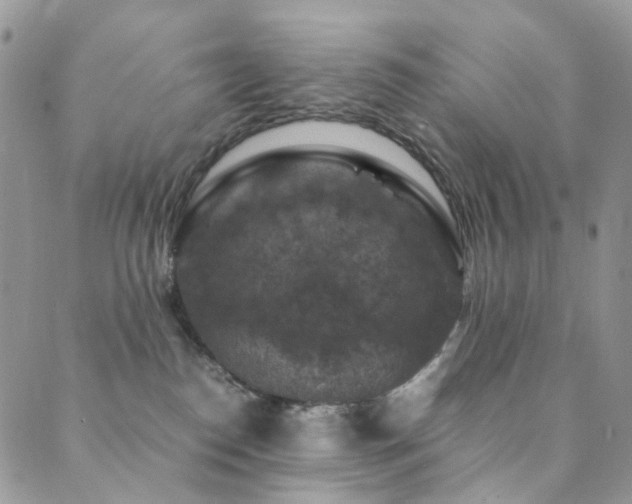 X0000089690186200706211300