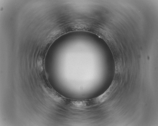 X0000089690187200706211300