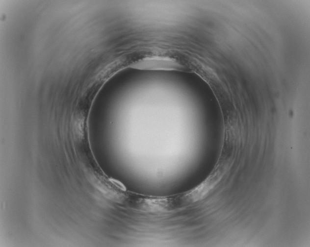 X0000089690188200706211300