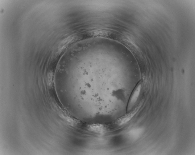 X0000089690189200706211300