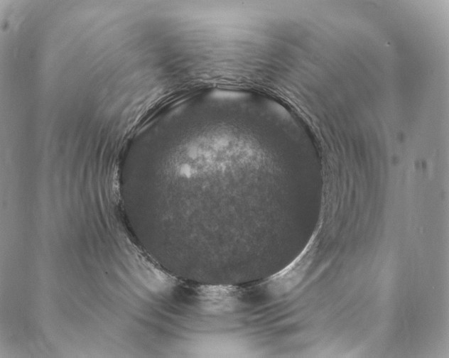 X0000089690192200706211300