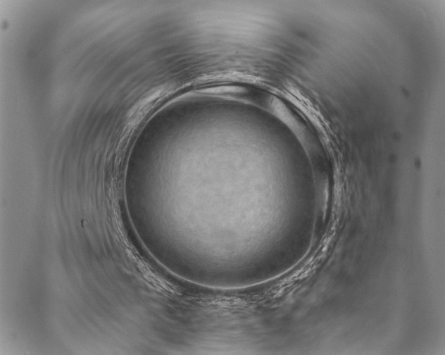 X0000089690193200706211259