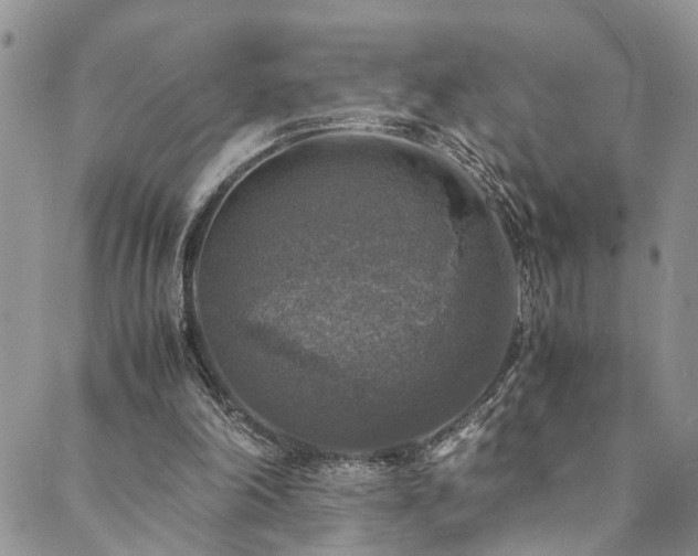 X0000089690198200706211259