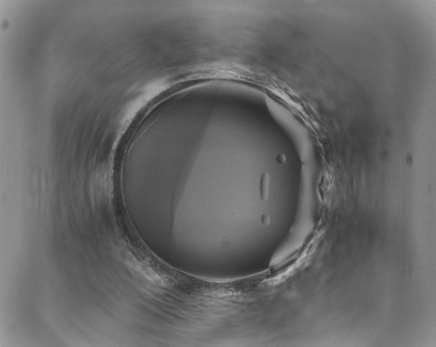 X0000089690200200706211259