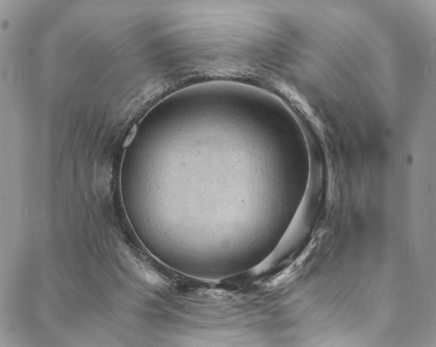 X0000089690201200706211259