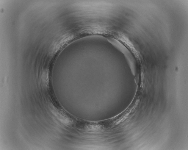 X0000089690202200706211259